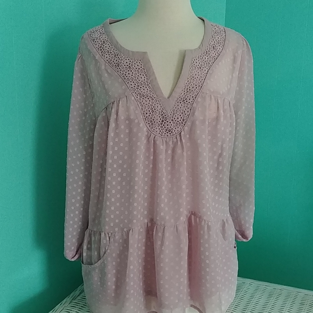Daniel Rainn Light Pink Swiss Dot Blouse Size L